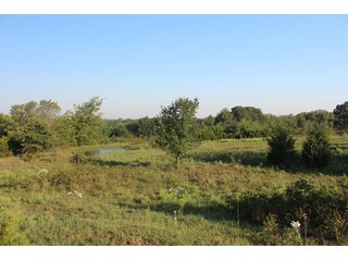 Tract 3 - Stillwater, OK farmland - EXCITING LAND AUCTION! - 128 +/- ACRES OFFERED IN 7 TRACTS OFF HIGHWAY 51 IN STILLWATER, OKLAHOMA